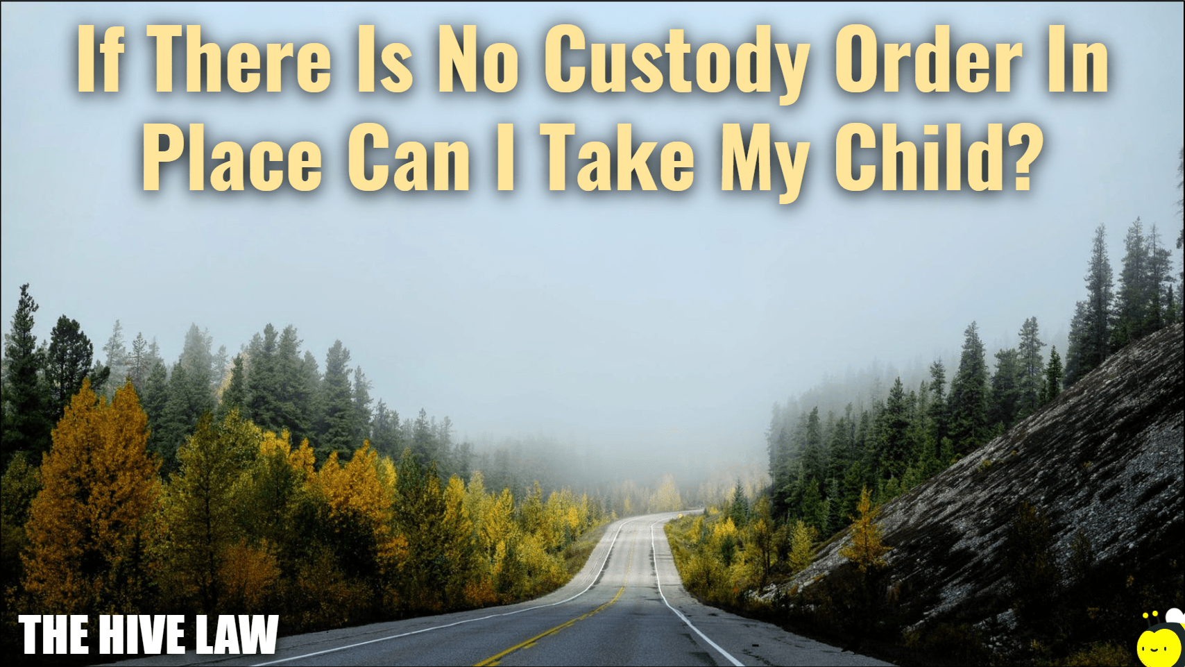 If There Is No Custody Order In Place Can I Take My Child? The Hive Law