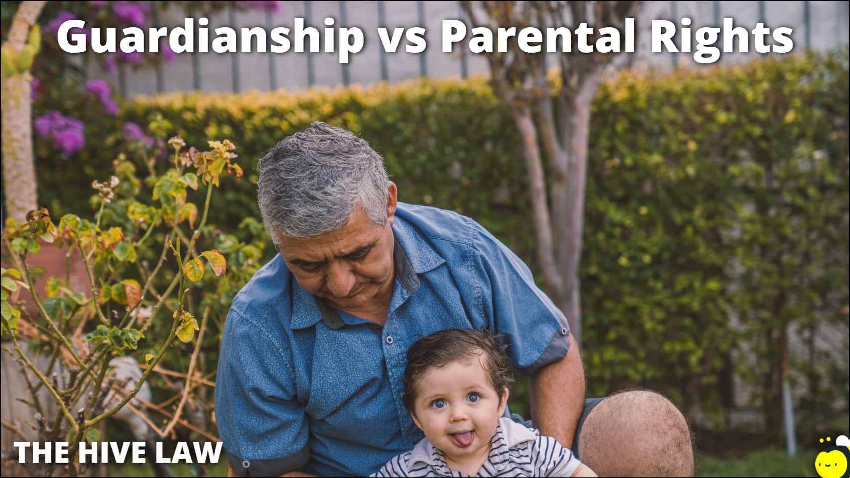difference-between-guardianship-vs-parental-rights-the-hive-law